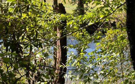 37+AC Jarrett Road Hayesville NC 28904