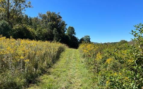 37+AC Jarrett Road Hayesville NC 28904