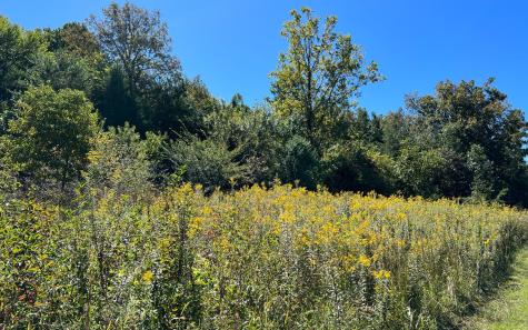 37+AC Jarrett Road Hayesville NC 28904