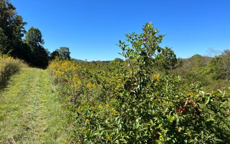 37+AC Jarrett Road Hayesville NC 28904