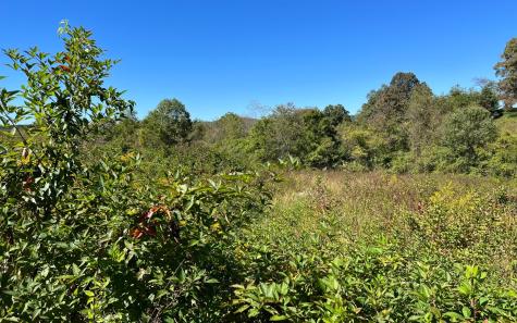 37+AC Jarrett Road Hayesville NC 28904