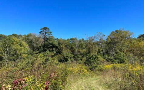 37+AC Jarrett Road Hayesville NC 28904