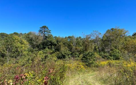 37+AC Jarrett Road Hayesville NC 28904