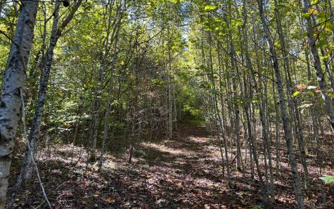 37+AC Jarrett Road Hayesville NC 28904