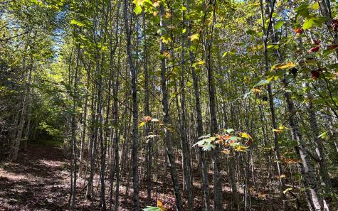 37+AC Jarrett Road Hayesville NC 28904