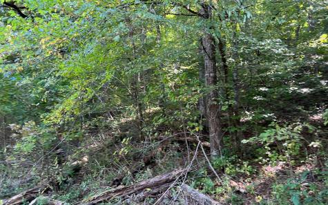 37+AC Jarrett Road Hayesville NC 28904