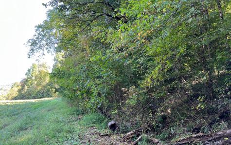 37+AC Jarrett Road Hayesville NC 28904