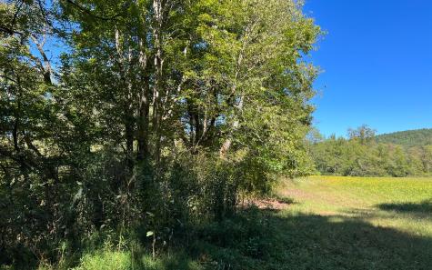 37+AC Jarrett Road Hayesville NC 28904