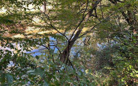 37+AC Jarrett Road Hayesville NC 28904