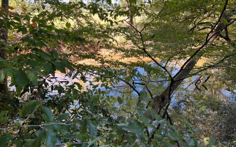 37+AC Jarrett Road Hayesville NC 28904