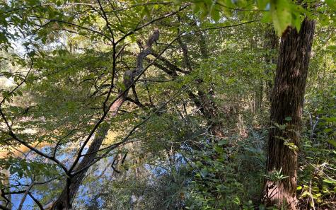 37+AC Jarrett Road Hayesville NC 28904