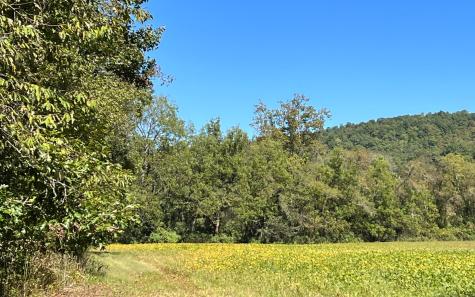 37+AC Jarrett Road Hayesville NC 28904