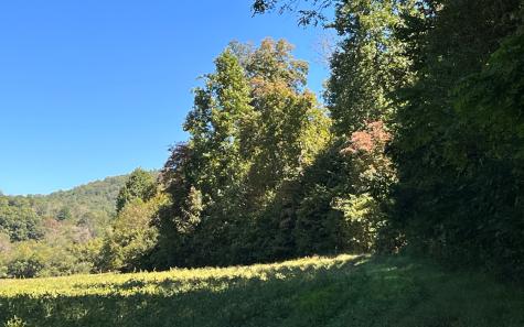 37+AC Jarrett Road Hayesville NC 28904