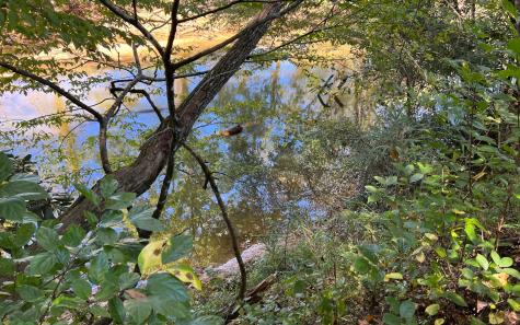 37+AC Jarrett Road Hayesville NC 28904