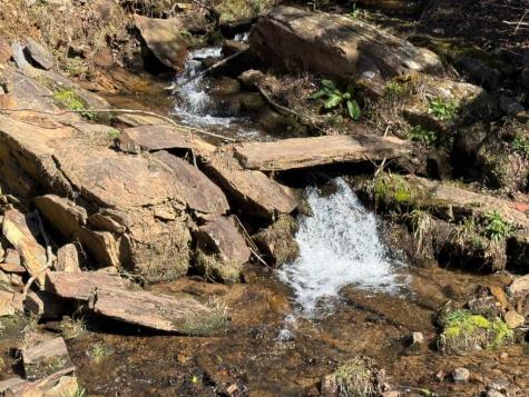 Lot 8 Wild Laurel Brasstown NC 28902
