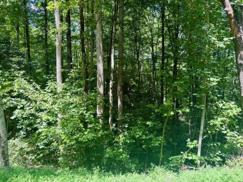 Lot 8 Wild Laurel Brasstown NC 28902