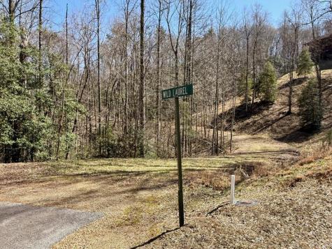 Lot 8 Wild Laurel Brasstown NC 28902