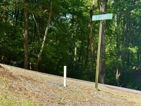 Lot 8 Wild Laurel Brasstown NC 28902