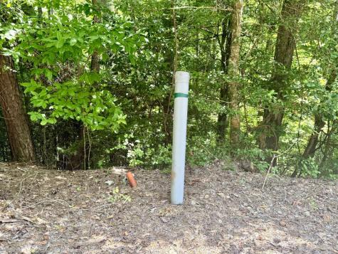 Lot 8 Wild Laurel Brasstown NC 28902