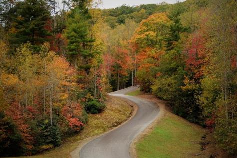 Lot 8 Wild Laurel Brasstown NC 28902