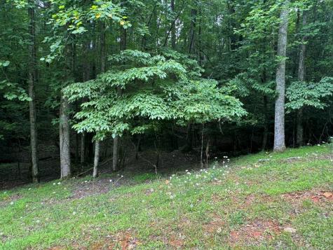 Lot 1721 Newport Drive Ellijay GA 30540