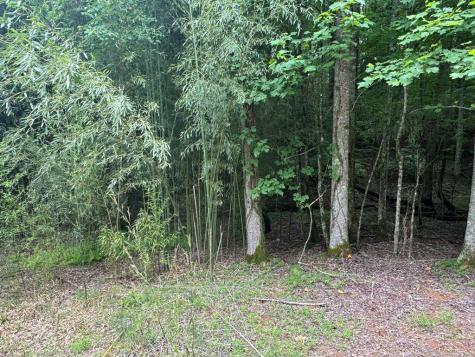 Lot 1721 Newport Drive Ellijay GA 30540