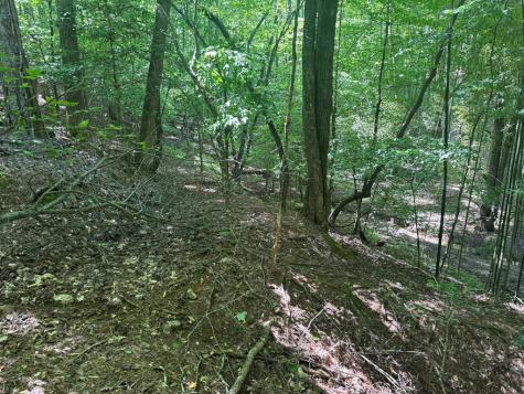 Lot 1721 Newport Drive Ellijay GA 30540