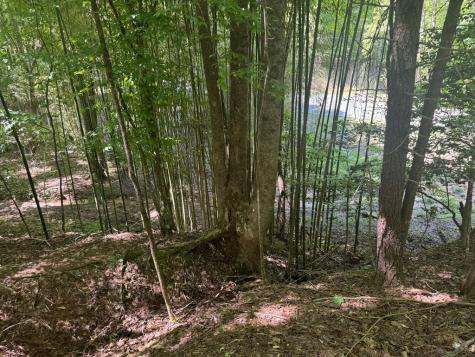 Lot 1721 Newport Drive Ellijay GA 30540