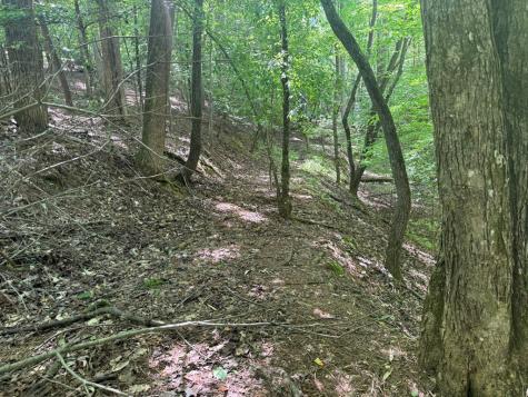 Lot 1721 Newport Drive Ellijay GA 30540