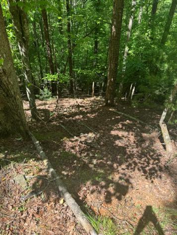 Lot 1721 Newport Drive Ellijay GA 30540