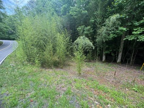 Lot 1721 Newport Drive Ellijay GA 30540