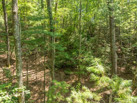 14.97AC Wolf Pen Gap Road Ellijay GA 30540