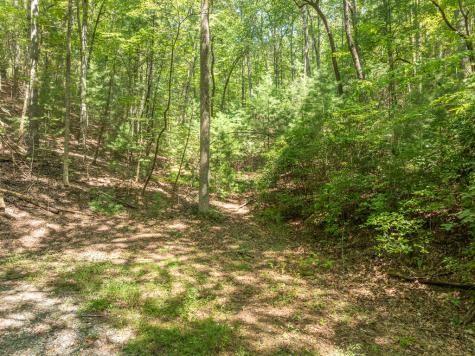 14.97AC Wolf Pen Gap Road Ellijay GA 30540