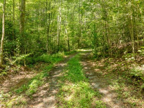 14.97AC Wolf Pen Gap Road Ellijay GA 30540