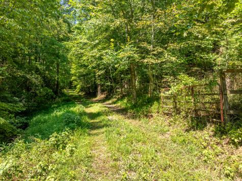 14.97AC Wolf Pen Gap Road Ellijay GA 30540