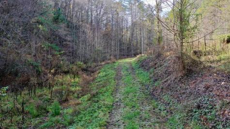 14.97AC Wolf Pen Gap Road Ellijay GA 30540