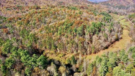 14.97AC Wolf Pen Gap Road Ellijay GA 30540