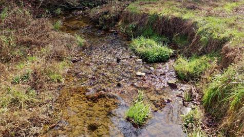 14.97AC Wolf Pen Gap Road Ellijay GA 30540