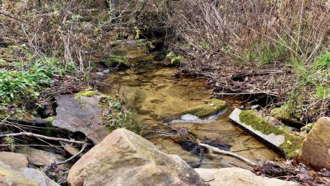 14.97AC Wolf Pen Gap Road Ellijay GA 30540