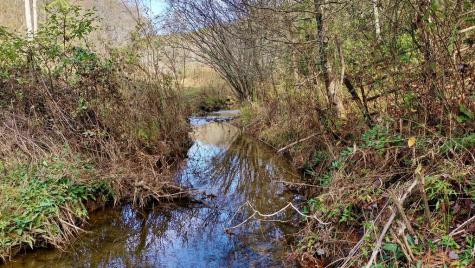 14.97AC Wolf Pen Gap Road Ellijay GA 30540