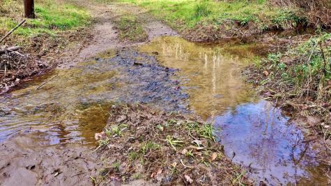14.97AC Wolf Pen Gap Road Ellijay GA 30540