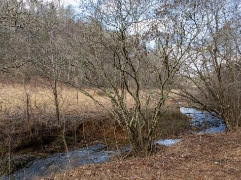 14.97AC Wolf Pen Gap Road Ellijay GA 30540