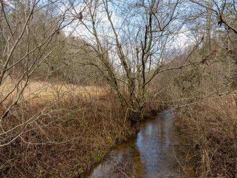 14.97AC Wolf Pen Gap Road Ellijay GA 30540