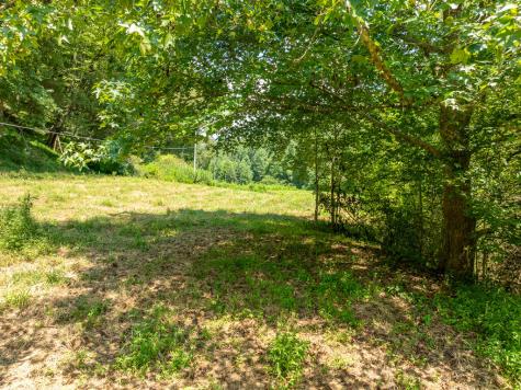 14.97AC Wolf Pen Gap Road Ellijay GA 30540