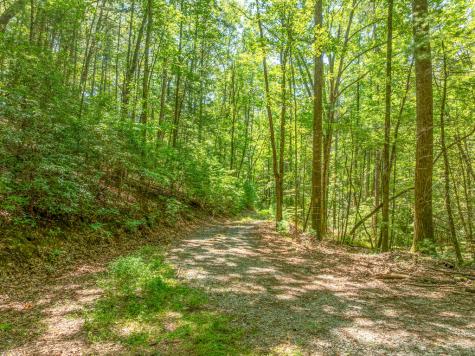 14.97AC Wolf Pen Gap Road Ellijay GA 30540