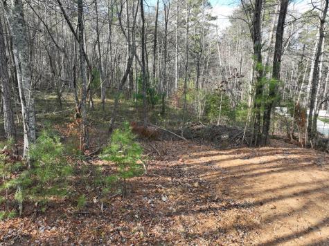 140 Autumn Fern Lane Ellijay GA 30536