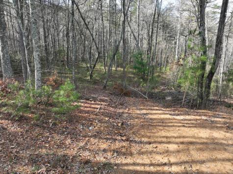 140 Autumn Fern Lane Ellijay GA 30536