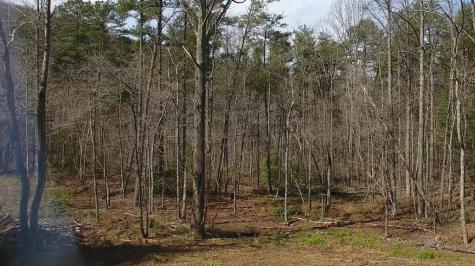 140 Autumn Fern Lane Ellijay GA 30536