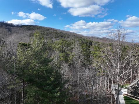 140 Autumn Fern Lane Ellijay GA 30536