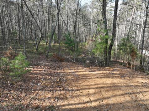 140 Autumn Fern Lane Ellijay GA 30536